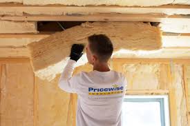 Best Batt and Roll Insulation  in Horizon West, FL